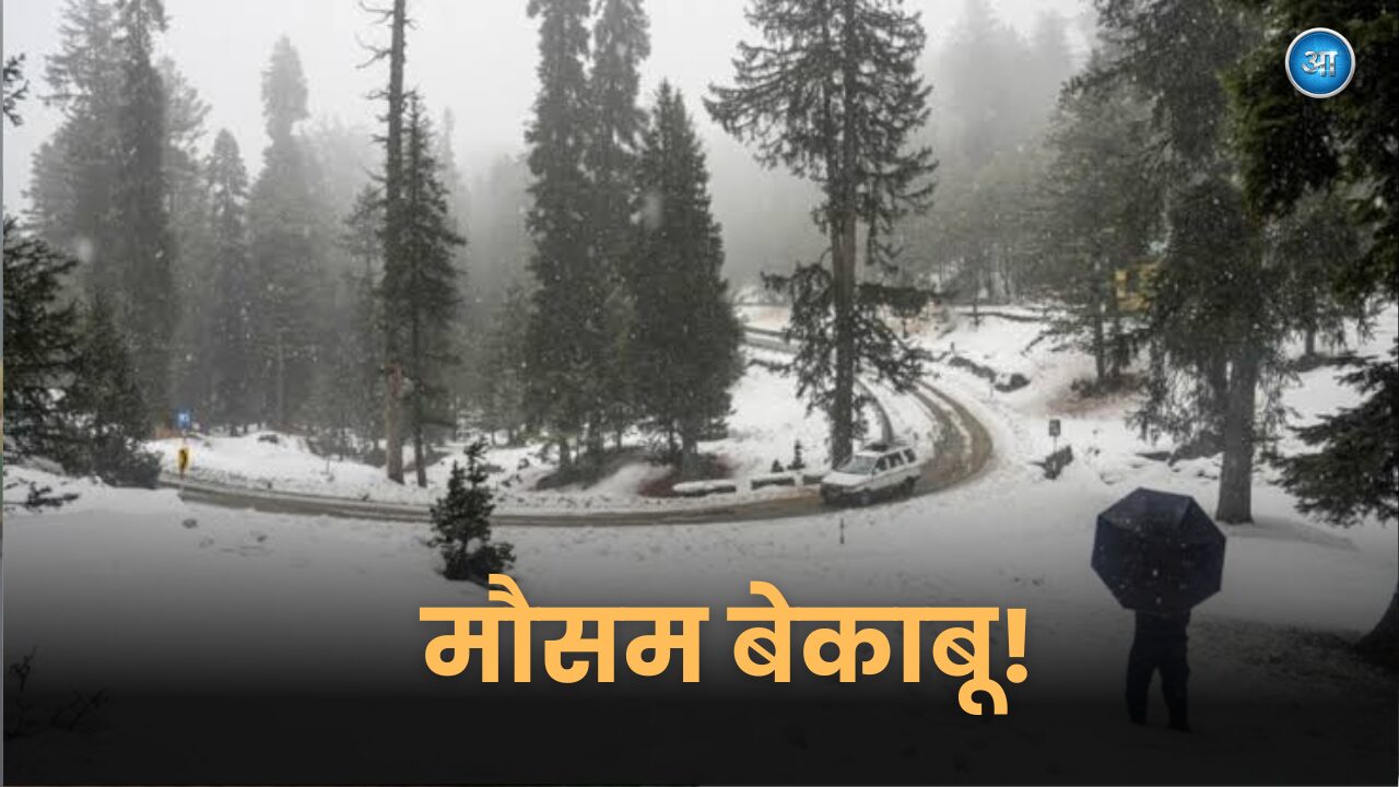 Weather Update North India Snowfall and Cold Wave Situation Today