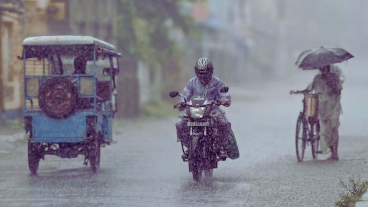 Rain