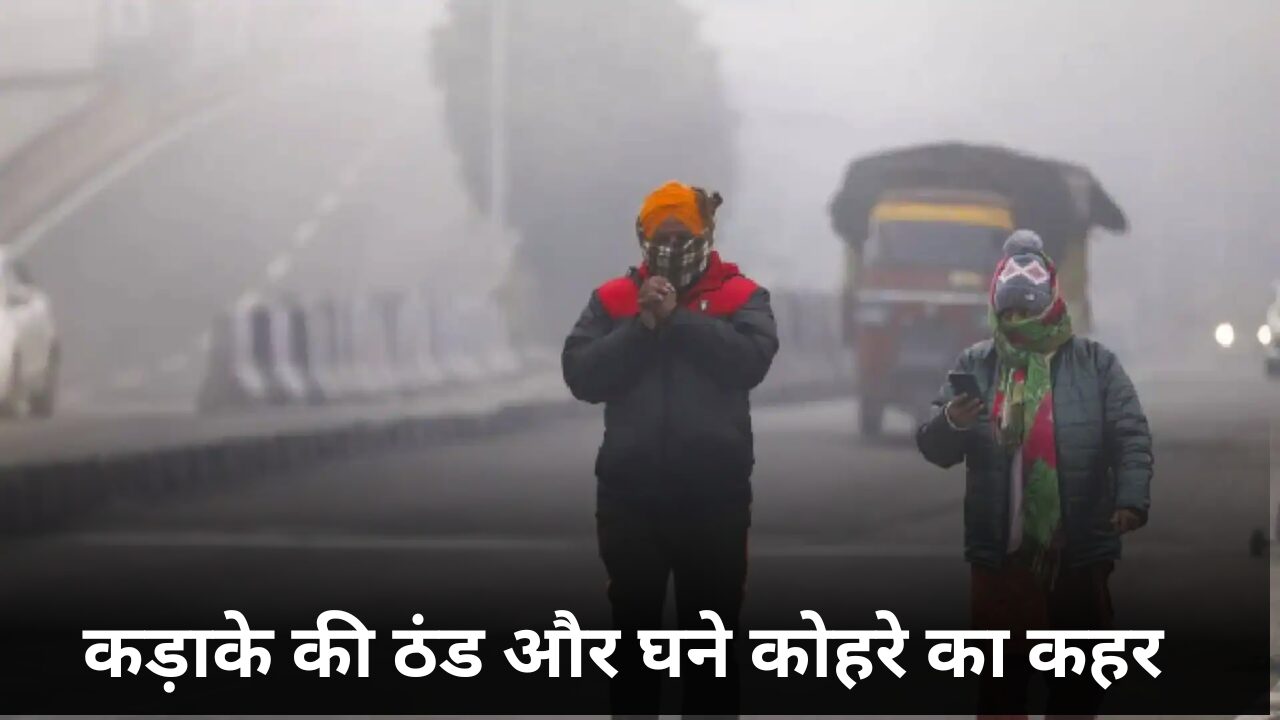 Severe cold and dense fog wreak havoc